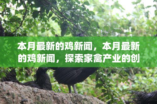 第2142页