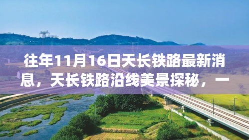 第1779页