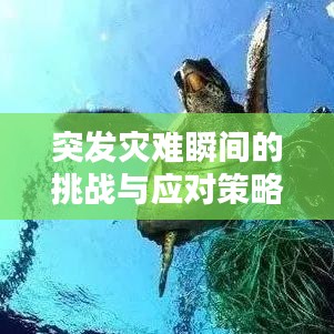 突发灾难瞬间的挑战与应对策略，如何应对灾难危机？