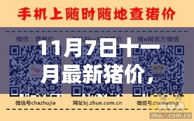 关于我们 第468页