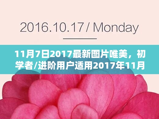 联系我们 第457页
