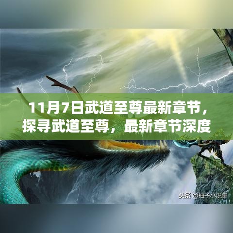 关于我们 第466页