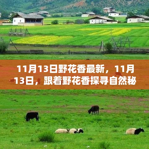 考级报名 第372页