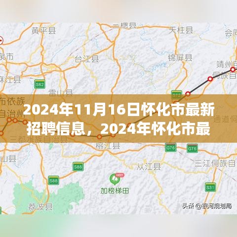 考级报名 第349页