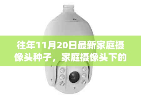 考级报名 第291页