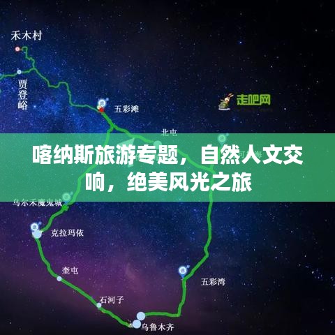 考级报名 第149页