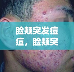 瞻云就日 第2页