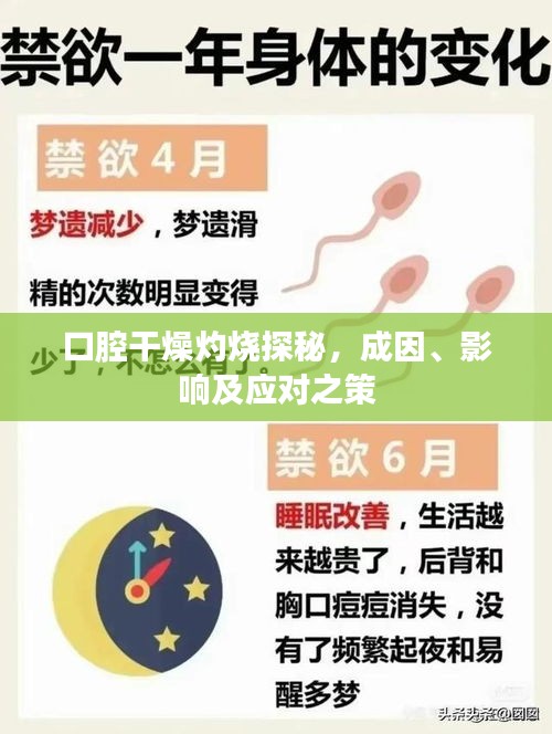 德才兼备 第2页