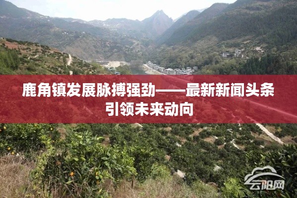 考级报名 第85页