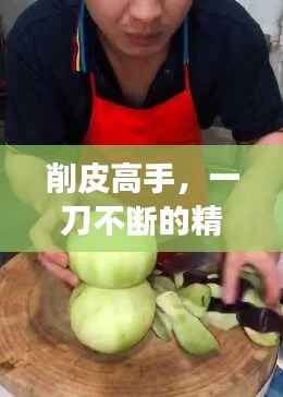 考级报名 第19页