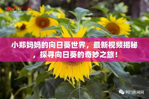 联系我们 第16页