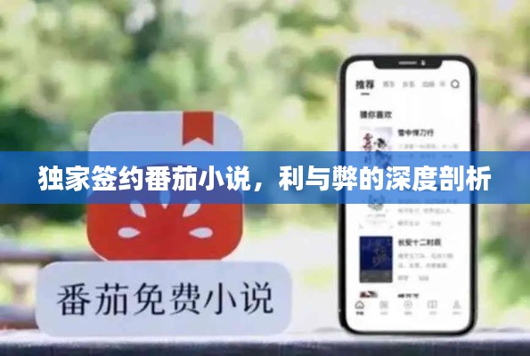 独家签约番茄小说，利与弊的深度剖析