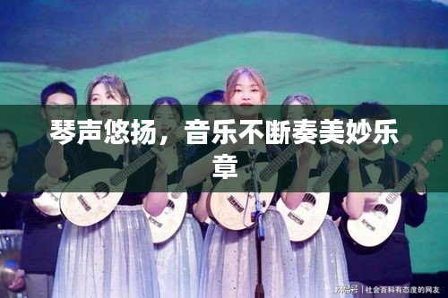 关于我们 第12页