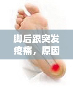 不知就里