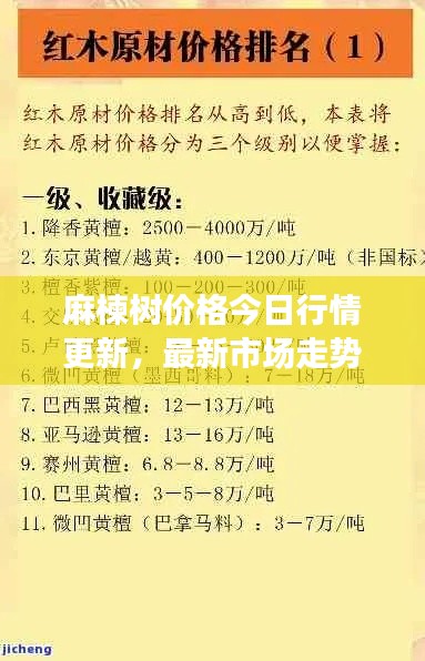 考级报名 第9页